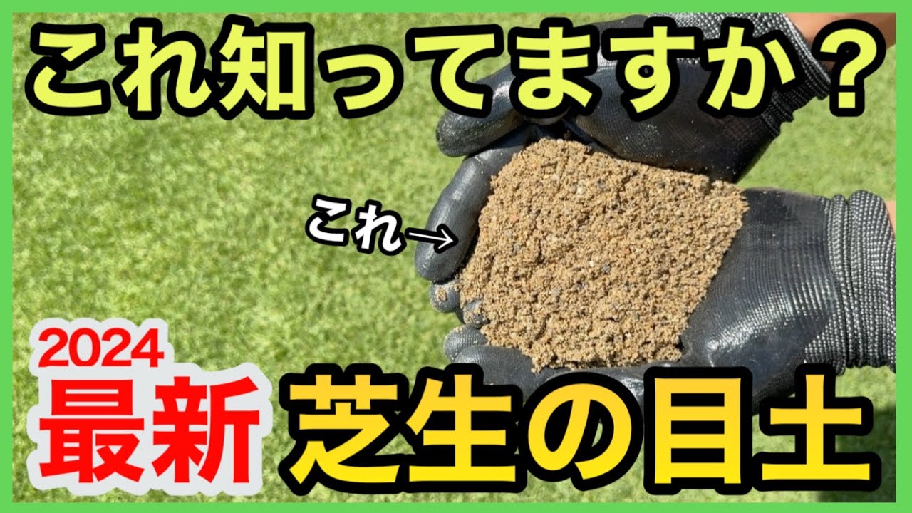 新しい芝生の目土ができました！