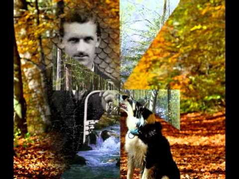 Das alte Försterhaus - gesungen von Ruth Berger