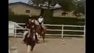 preview picture of video 'Lezione di equitazione n°4 - Al trotto'