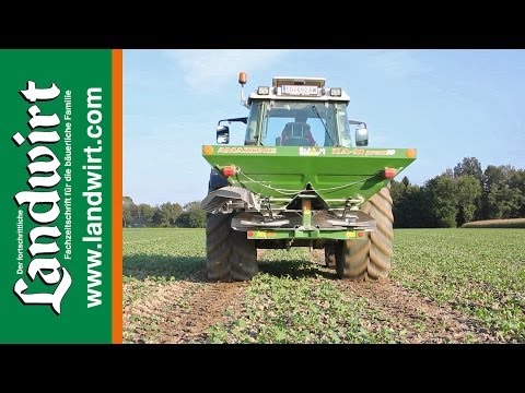 Rapsdüngung im Herbst