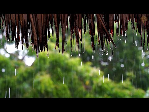 12 Hours Relaxing Sleep Music 🎵 Meditation Music, Stress Relief Music, Study Music • Sounds of Rain