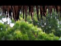 12 Hours Relaxing Sleep Music Meditation Music Stress Relief Music Study Music Sounds Of Rain