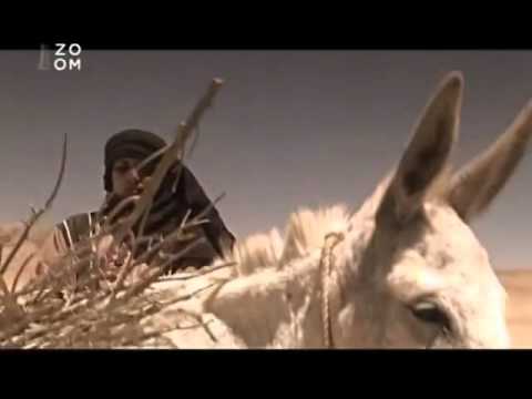 ISLÁM A ZÁPAD I    Muhammad   Prorok, který změnil svět