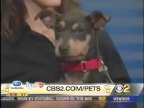 Pets 2 Love - Thelma & Louise