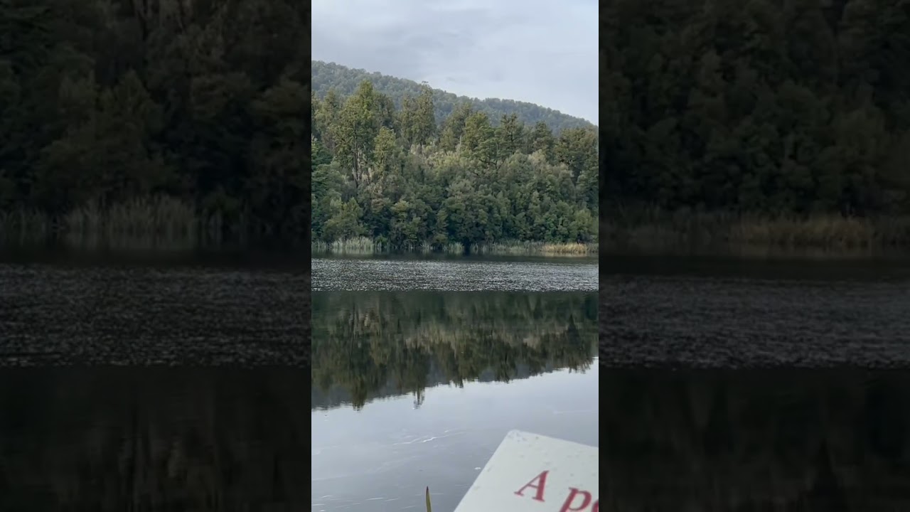 YouTube Short thumbnail