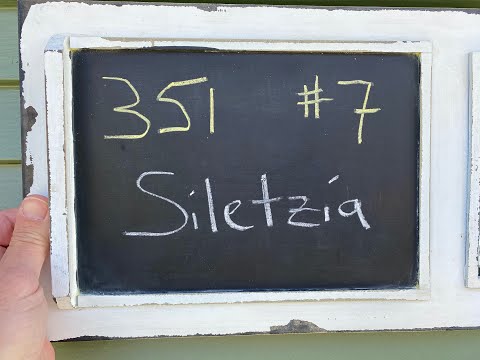 GEOL 351 - #7 - Siletzia