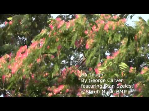 "So Tough" by George Carver,  featuring Stan Szelest