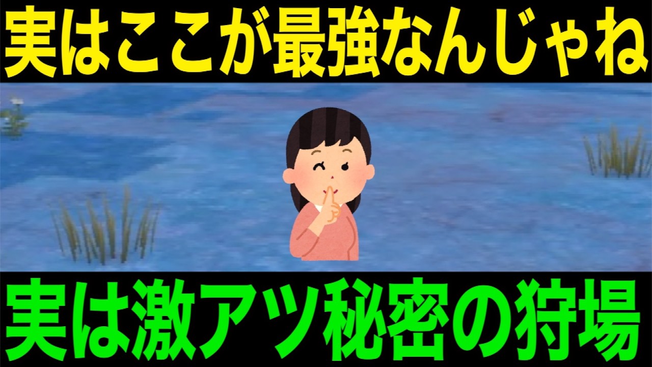 あれここ最強では？選択肢がかなり充実してますがここも見過ごせません【ドラクエウォーク】【ドラゴンクエストウォーク】