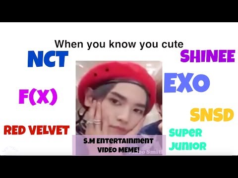 S.M. Entertainment Video Memes (EXO, NCT, f(x), Red Velvet, SNSD, SHINee, Super Junior)