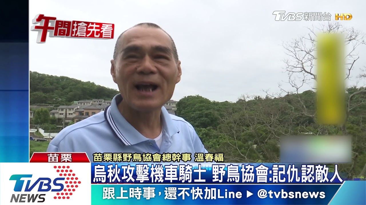烏秋攻擊機車騎士 野鳥協會:記仇認敵人
