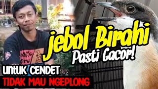 Download lagu Break the passion so that the CENDET GACOR‼️ mp3