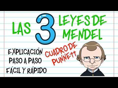 🌿LAS LEYES DE MENDEL, CUADRO DE PUNNETT  PASO A PASO, EXPLICACIÓN  [Fácil y Rápido] | BIOLOGÍA |
