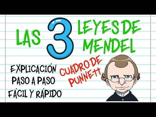 Vídeo relacionado con 360 problemas de genética: resueltos paso a paso: 1 (Serie Genética)