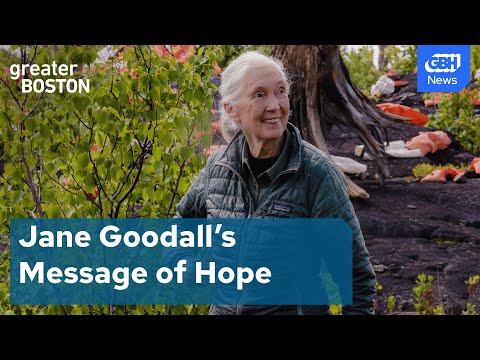 Jane Goodall: ‘Reasons for Hope’ about the planet’s future