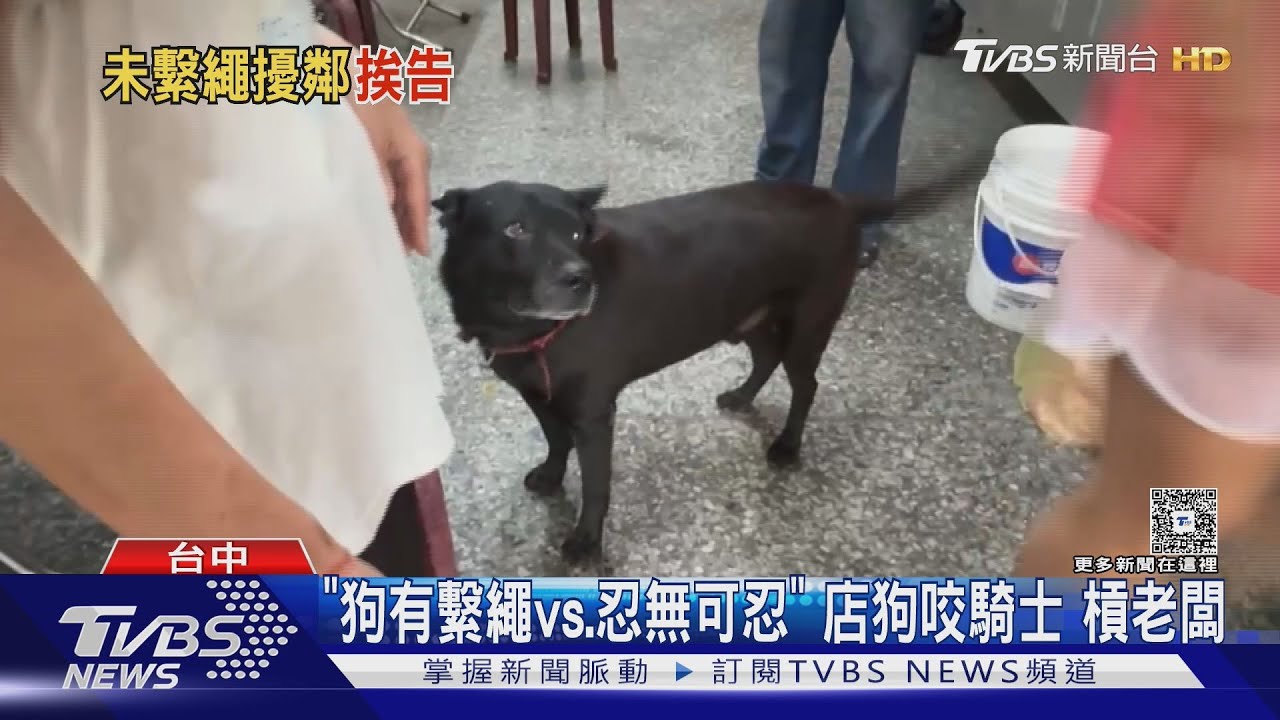 「狗都有繫繩」對決「已忍無可忍」　騎士遭店狗咬 槓老闆