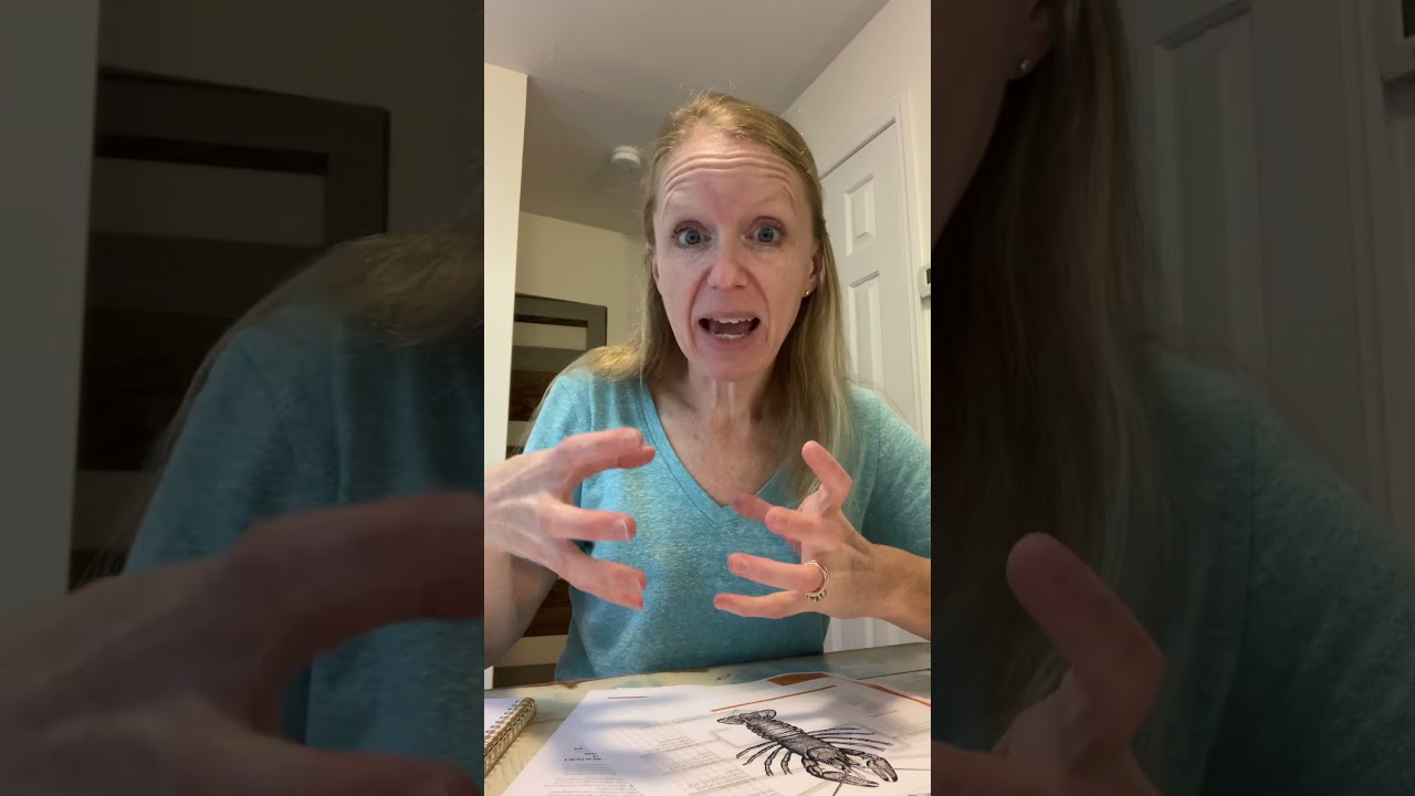 Classical Conversations Cycle 1 Week 9 Science Experiment