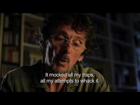 Prekid programa zbog čitanja - Ponoćni boogie; Edo Popović