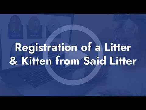 Registration of a Litter & Kitten from Said Litter