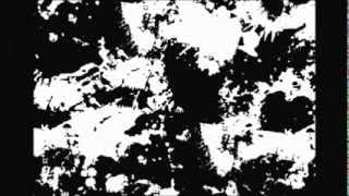 The New Voltaire Animation