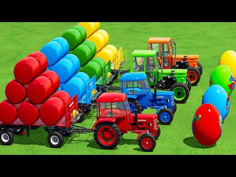 LOAD and TRANSPORT BIG ROUND BALES WITH FIAT & URSUS TRACTORS & FLATBED TRAILERS TO SELL POINT! FS22