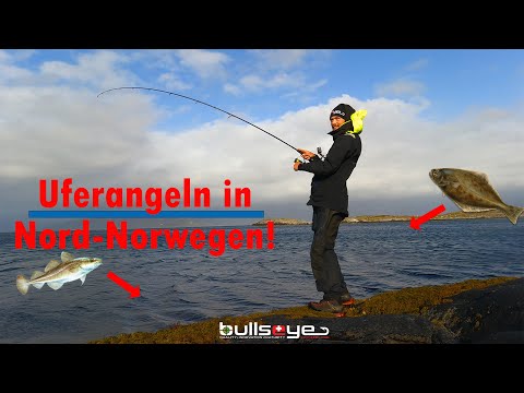 DAS habt ihr auf YouTube noch nicht gesehen! Ufer-Angeln in NORWEGEN auf DORSCH!