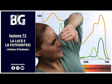 La LUCE e la FOTOSINTESI - visione di insieme
