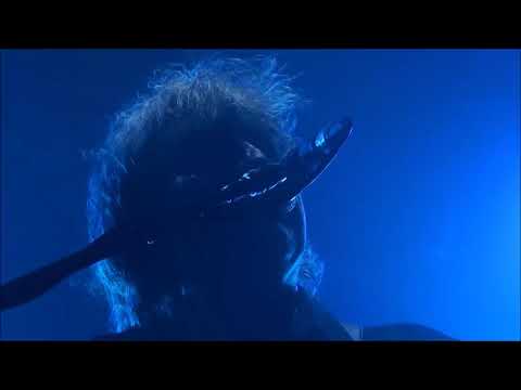 CHAMELEONS VOX - full set - Paris - 15.05.2017