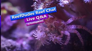 ReefDudes Live Saltwater Aquarium Reef Chat Q&A - Live with ReefingWithO