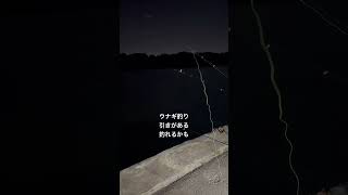 #釣り #フィッシング #海 #ウナギ釣り #釣りガール