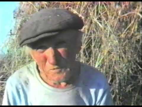 Voldemārs un Jānis Ozoliņi – Anekdote par baronu