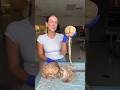 The Human Nervous System Brain Spinalcord Humanbody Anatomy Science Teacher Education