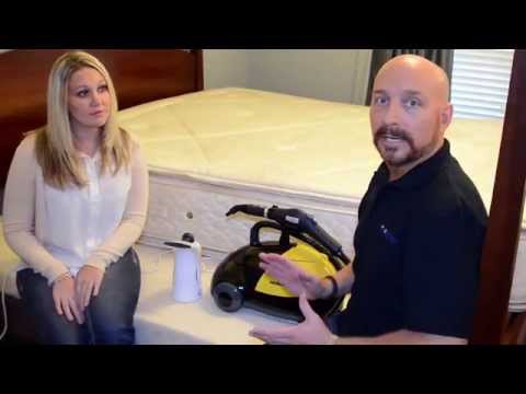 How To Get Rid Of Bed Bugs Naturally in Fast Easy...