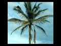 John Adams (El Nino) - A palm tree