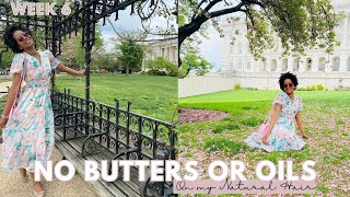 Natural Hair Detox: Week 6 of No Raw Butters & Oils | Take Down Twists with Me! | Gabrielle Ishell