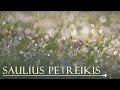 Saulius Petreikis - Water