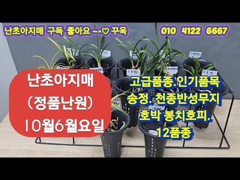 유튜브 썸네일
