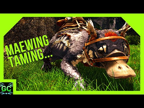 Taming Maewings to Help RAISE My Babies! Ep:15 (ARK Fjördur)