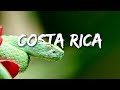 COSTA RICA IN 4K 60fps HDR (ULTRA HD)