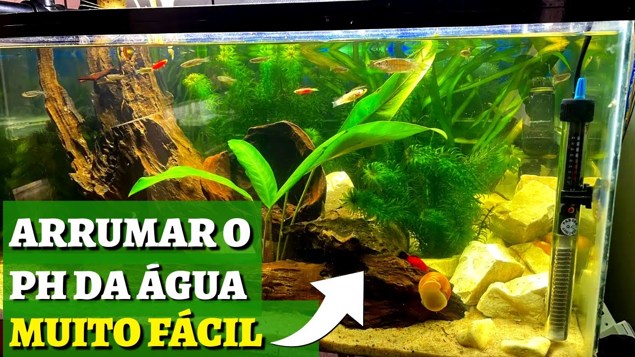 AQUARIUS, HOW TO ADDRESS THE PH OF AQUARIUM WATER TO ACID, NEUTRAL OR ALKALINE NATURALLY