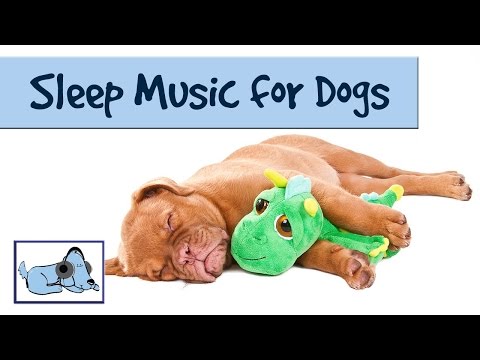 The Dog Song - Music to Help your Dog Sleep 🐶 RMD09