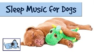 The Dog Song - Music to Help your Dog Sleep 🐶 RMD09