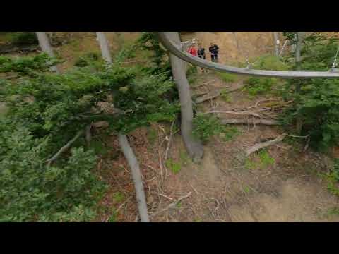 Baumschwebebahn Bad Harzburg | Aufnahme aus 2024