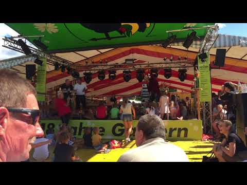 "Hafi der Hahn" beim 1. Österreichischen Krähwettbewerb 2017 in St. Andrä im Lavanttal (Gackern)