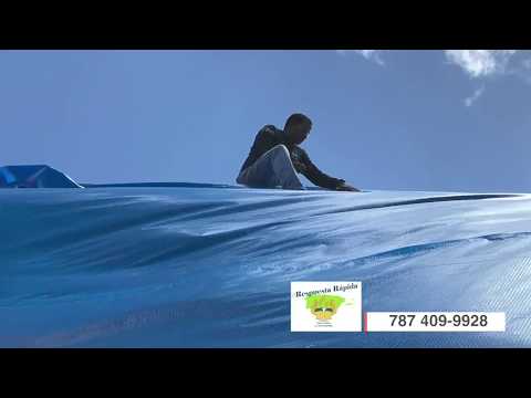 Ministerio Respuesta Rapida