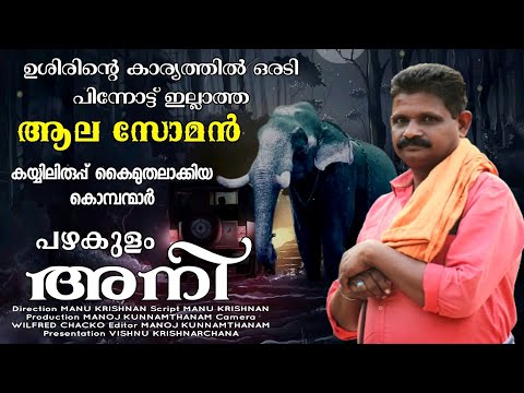 കയ്യിലിരുപ്പ് കൈമുതലാക്കിയ കൊമ്പന്മാർ 🔥 | പഴകുളം അനി | Pazhakulam Ani | Episode - 3 | MK Channel