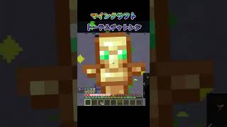 [マインクラフト]トーテムチャレンジやってみた