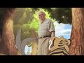 Netflix Tigers And Rabbit 2012 Commercial
