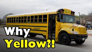 Why are School Buses Painted Yellow?