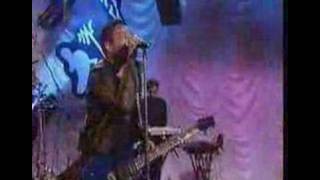 Hormigas - www.katupecu.com.ar en CM 2003