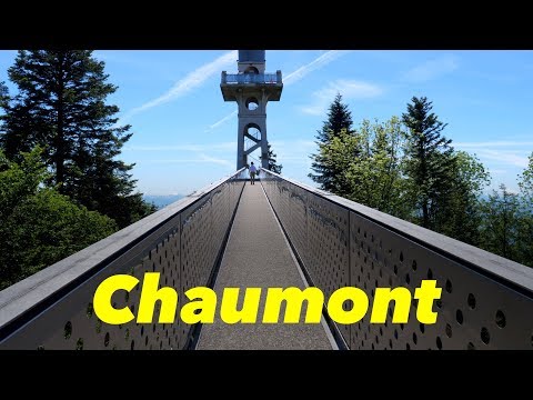 Majestic views of Switzerland and Alps from Chaumont
